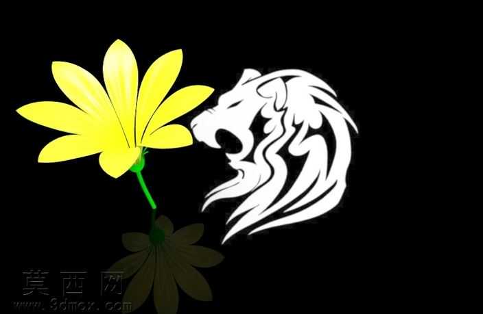 lion_aq_38
