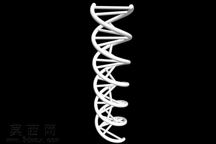 DNA���ַ���3dģ��
