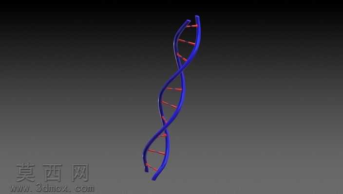 DNA��֩����
