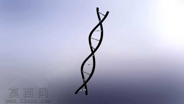 DNA��֩����
