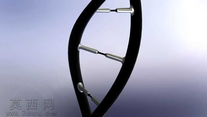 DNA��֩����
