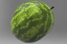CatiaWatermelon