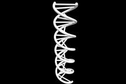 DNA���ַ���3dģ��
