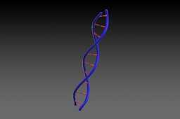 DNA��֩����
