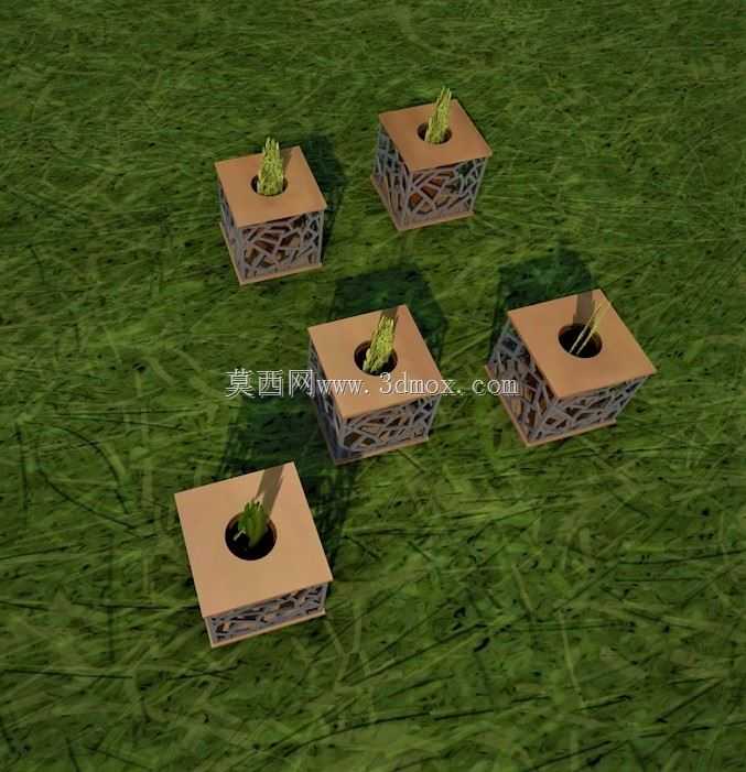 6��1����;�����壬�����㻨ƿ