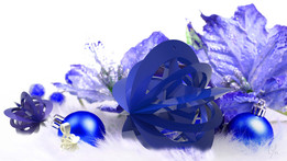 SGMSCʥ����2014 1C