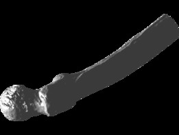 �ɹ�