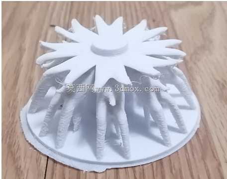 ɢ����-�����Ż�