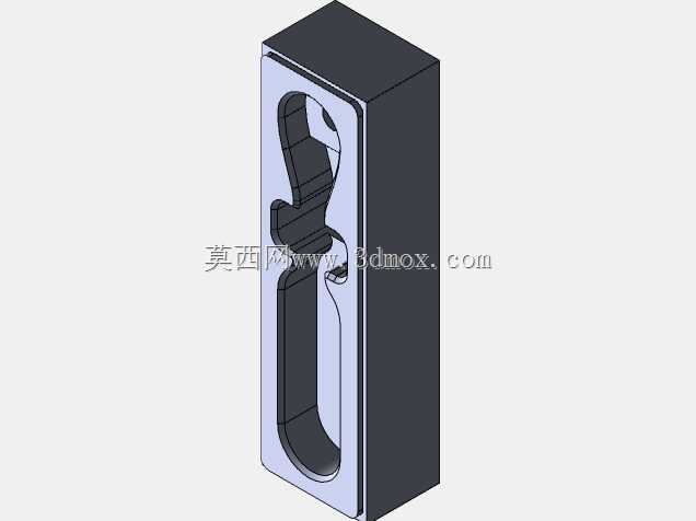 2021项目组织者