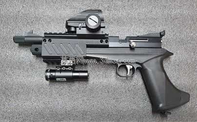 Artemis CP2��Diana Chaser picantiny rails