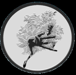 �Ƽ�ڭ��doflamingoһ