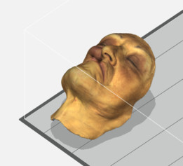 �沿ģ��