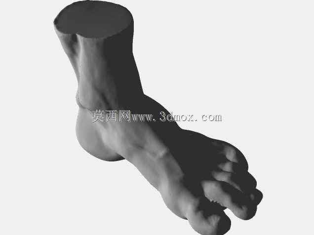 扫描的脚