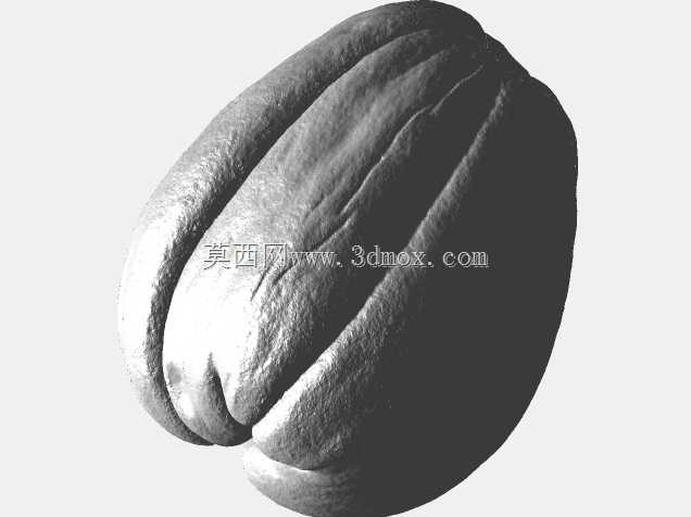 ���ֹ�