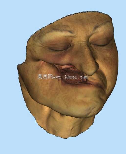 �沿ģ��