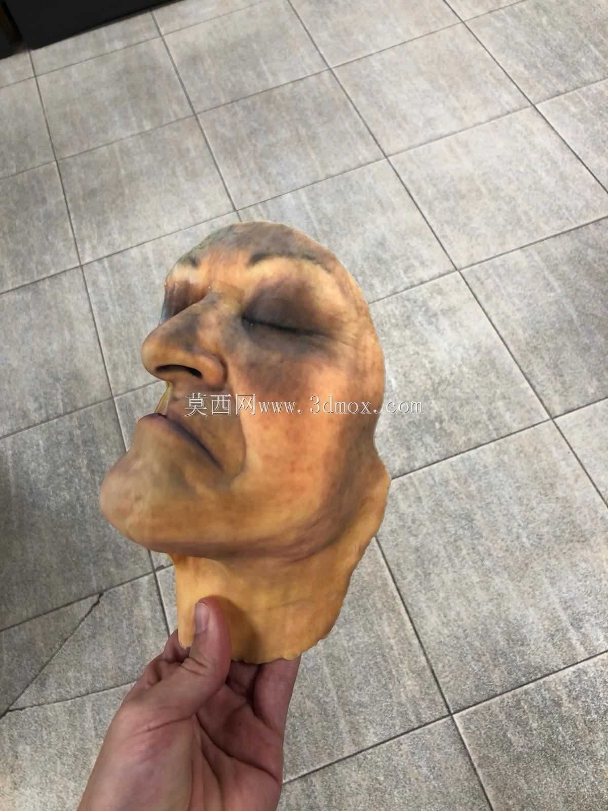 面部模型