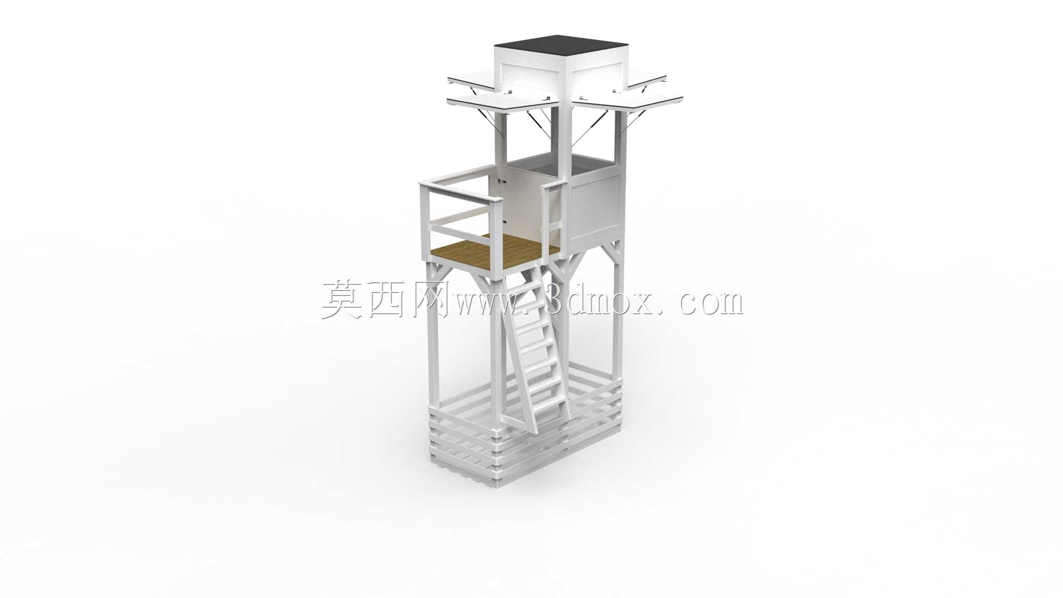 马贝拉·维奥莉西亚·托瑞