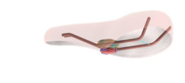 Airtag/SmartTag���г�֧��