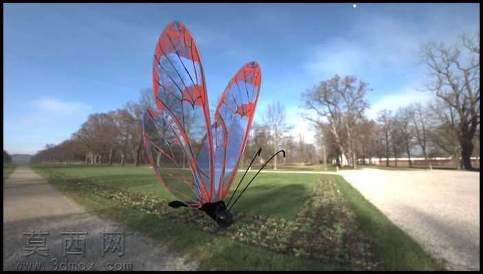 Glasswing����
