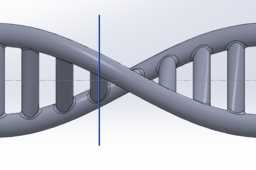 DNA�鱦�������
