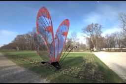 Glasswing����
