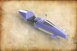 Waverunner��˾