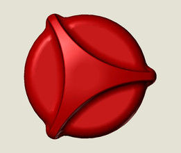 ��ť506