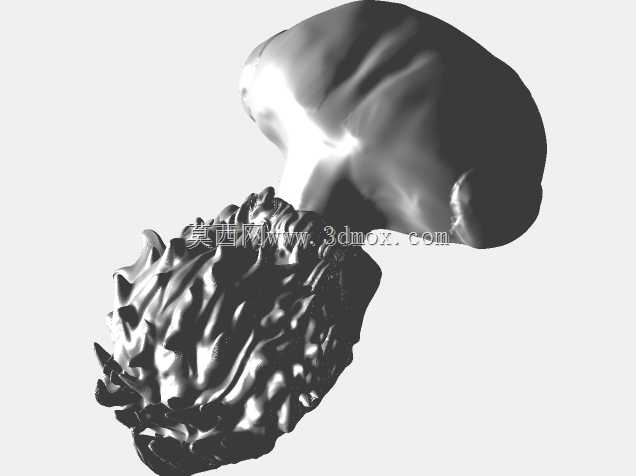 ʵ��