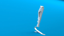 �ʻ�bionique