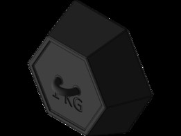 1 KG质量重量