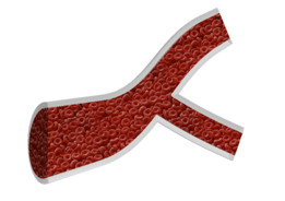 Ѫ�ܽ�ģ