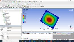 ANSYS��֧�����