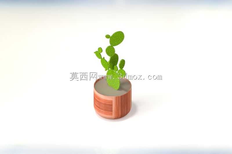 �пˡ�����˹