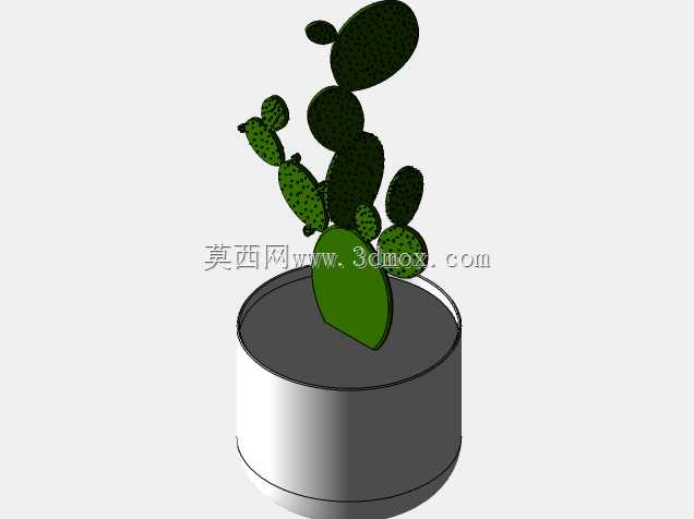 �пˡ�����˹
