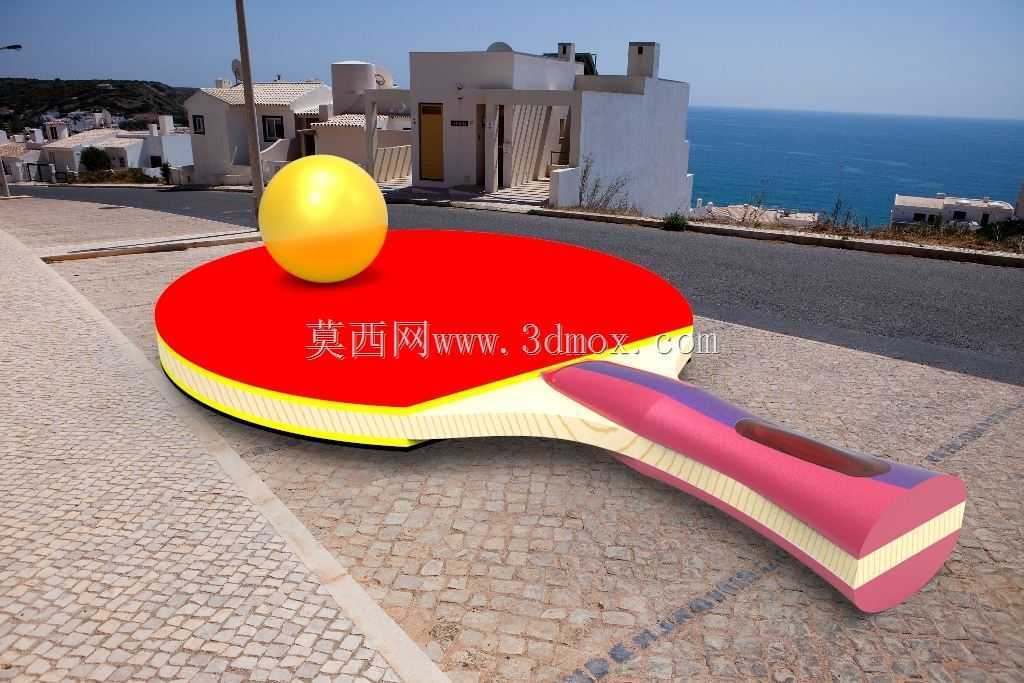 乒乓球拍
