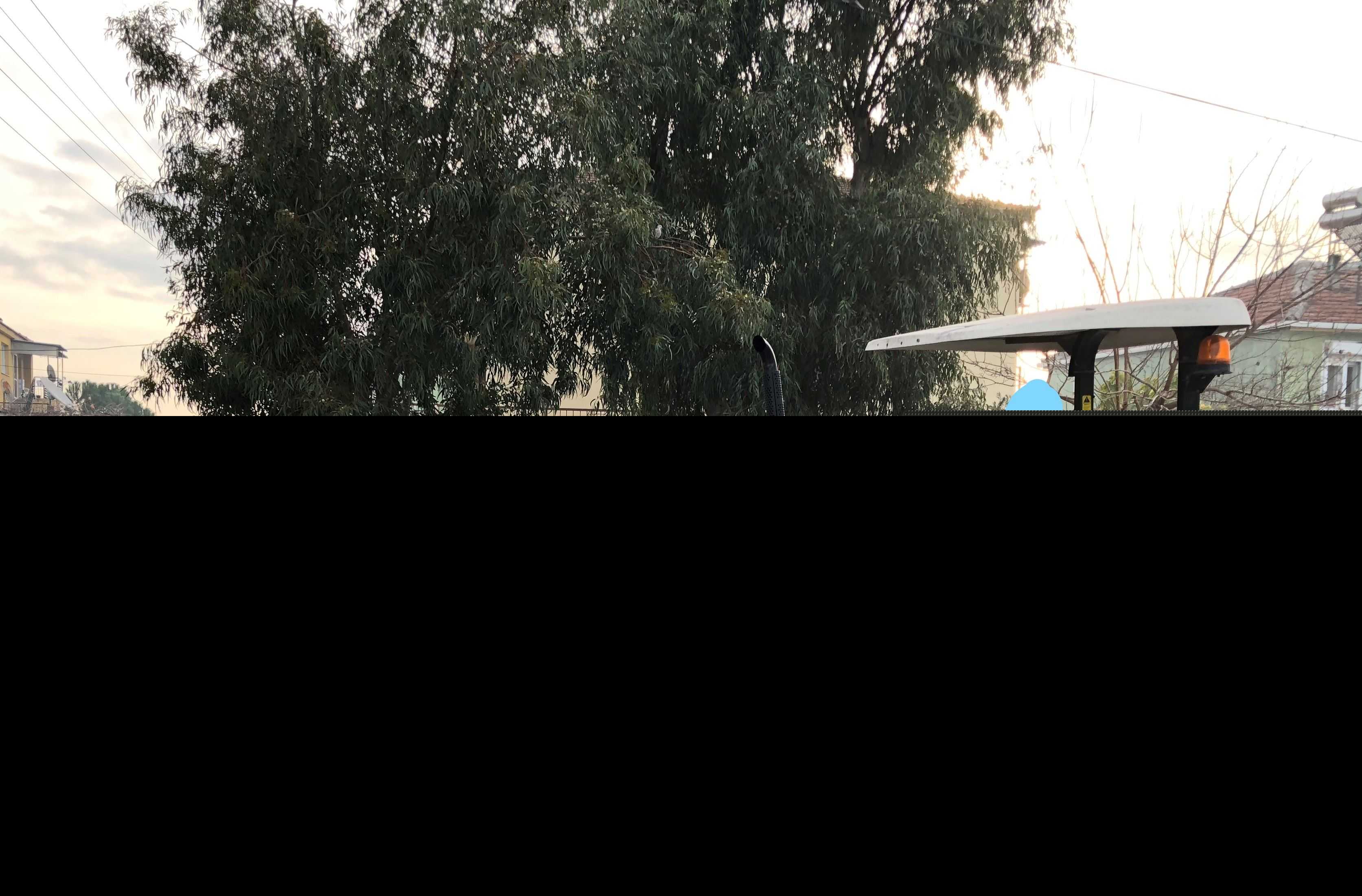 ������