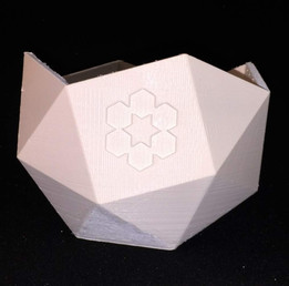 Proto planter 3D�ɴ�