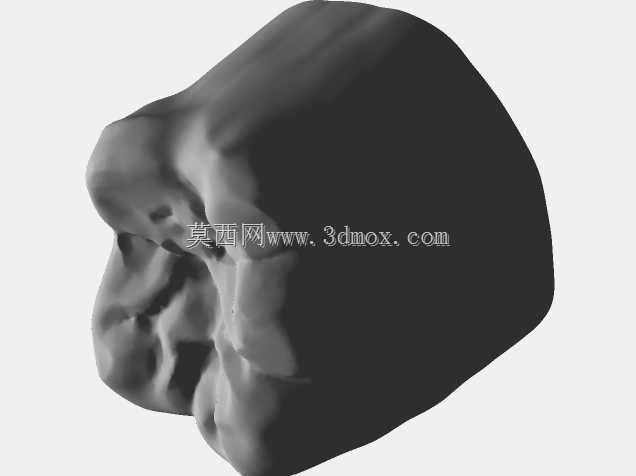 IDDA Adam Nulty Toth LibraryŮ��01��������Meshmixer-F01 Anteriores Shape��Jan Hajto