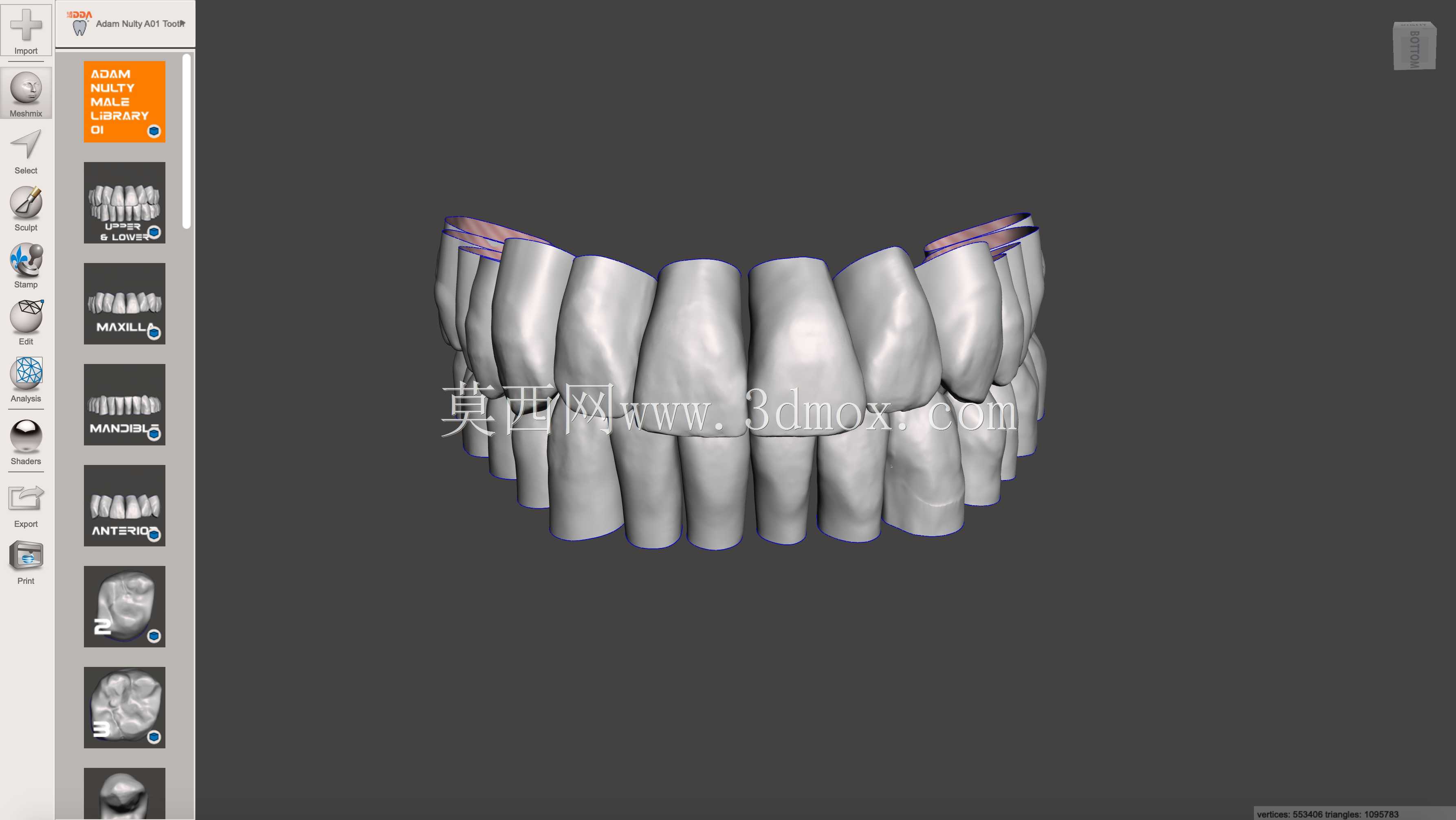 IDDA Adam Nulty Tooth Library Mean 01用于Meshmixer