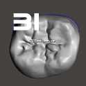 IDDA Adam Nulty Tooth Library Mean 01用于Meshmixer