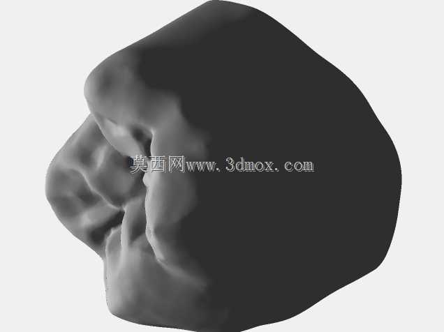 IDDA Adam Nulty Tooth Library Mean 01用于Meshmixer