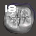 IDDA Adam Nulty Tooth Library Mean 01用于Meshmixer