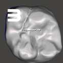 IDDA Adam Nulty Tooth Library Mean 01用于Meshmixer
