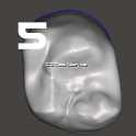 IDDA Adam Nulty Tooth Library Mean 01用于Meshmixer