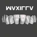 IDDA Adam Nulty Tooth Library Mean 01用于Meshmixer