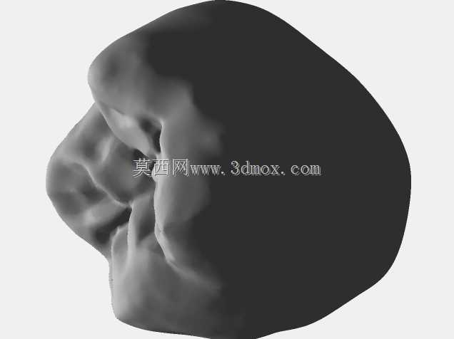 IDDA Adam Nulty Tooth Library Mean 01用于Meshmixer
