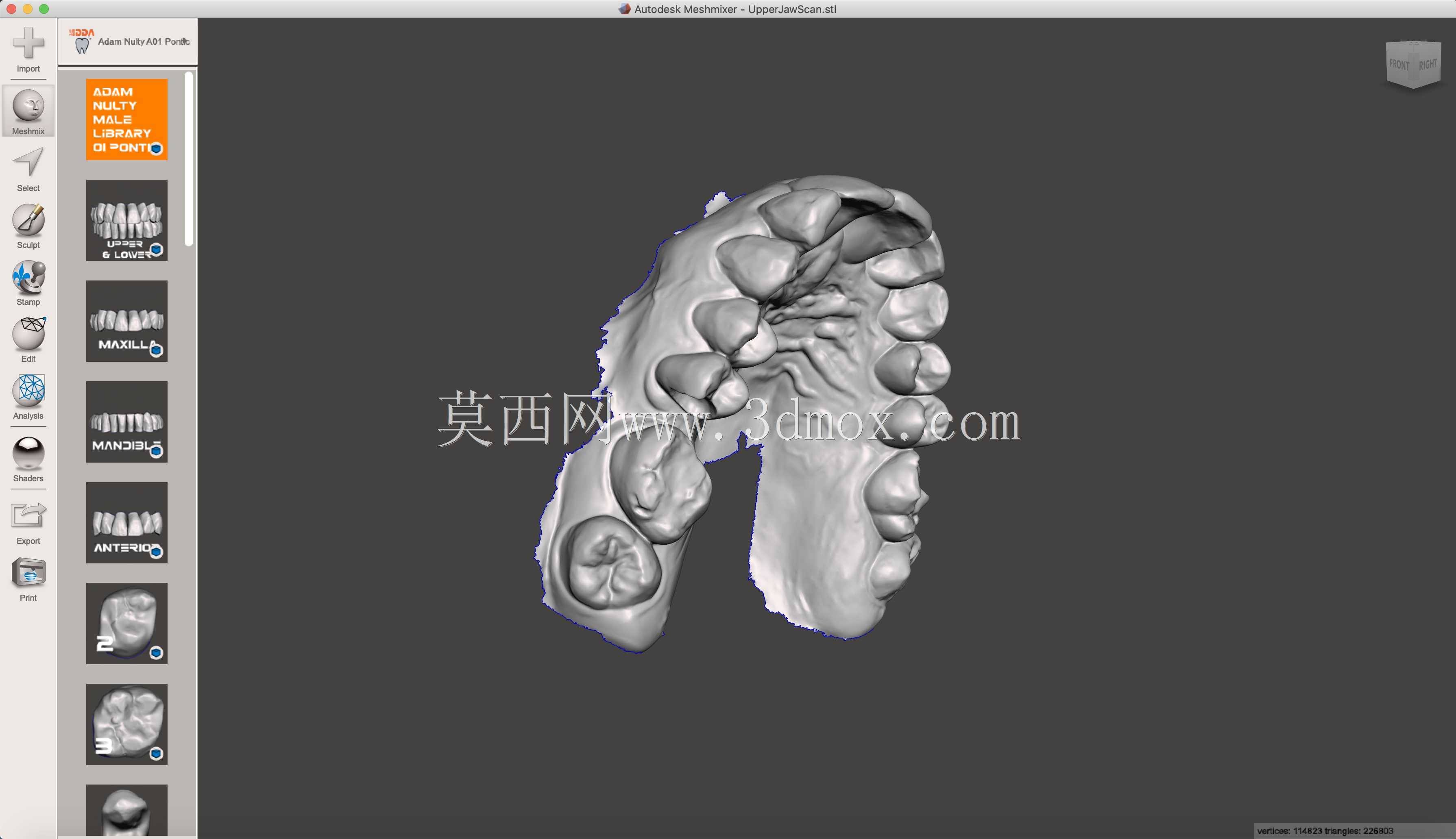 IDDA Adam Nulty Tooth Library Mean 01用于Meshmixer