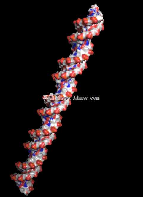 DNA,B型,双链,50碱基对