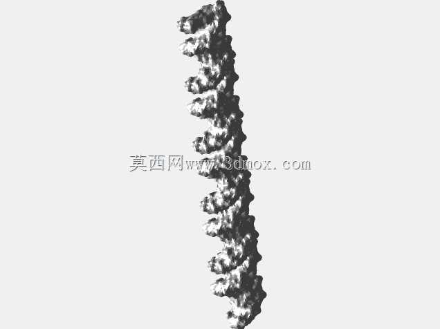 DNA,B型,双链,50碱基对