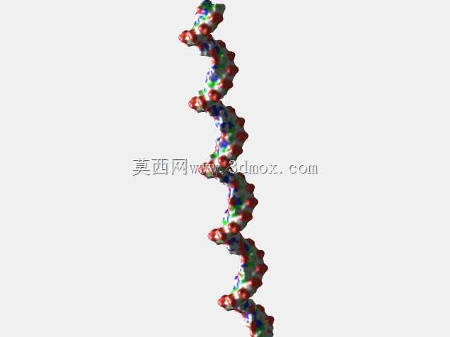 DNA,B型,双链,50碱基对